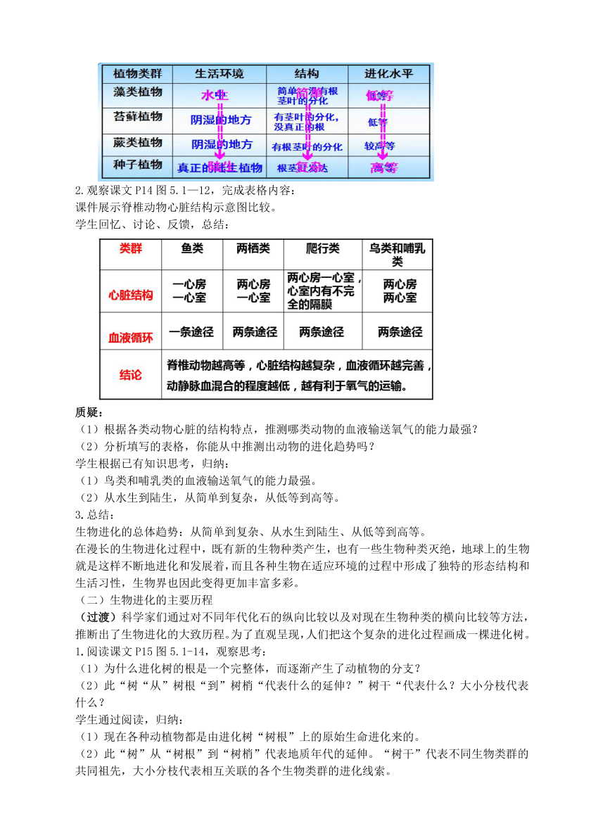 济南版生物八年级下册 5.1.3生物进化的历程教案