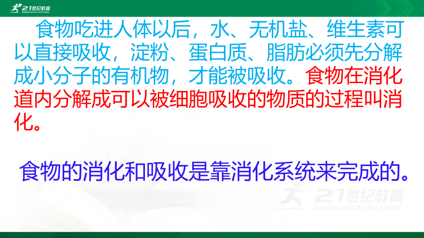 4.2.2 消化和吸收课件（共21张PPT）