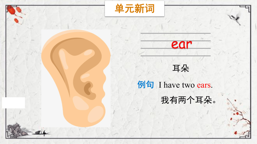 Unit 4 Body Lesson 3  I have two eyes课件（30张PPT)