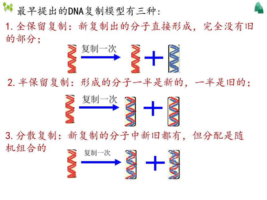 3.3 DNA的复制(共25张PPT)