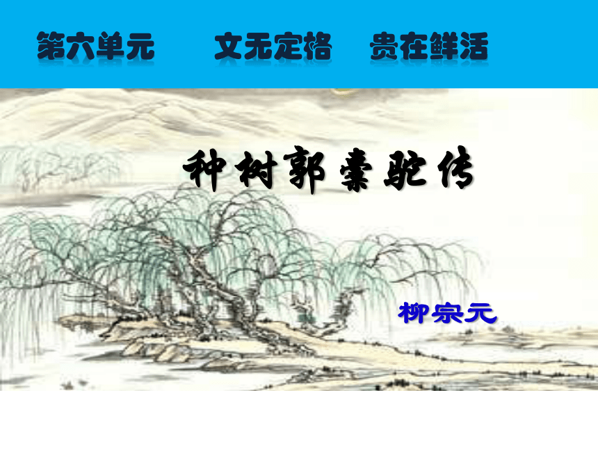 人教版高中语文选修中国古代诗歌散文欣赏：第六单元《种树郭槖驼传》课件（共19 张PPT）