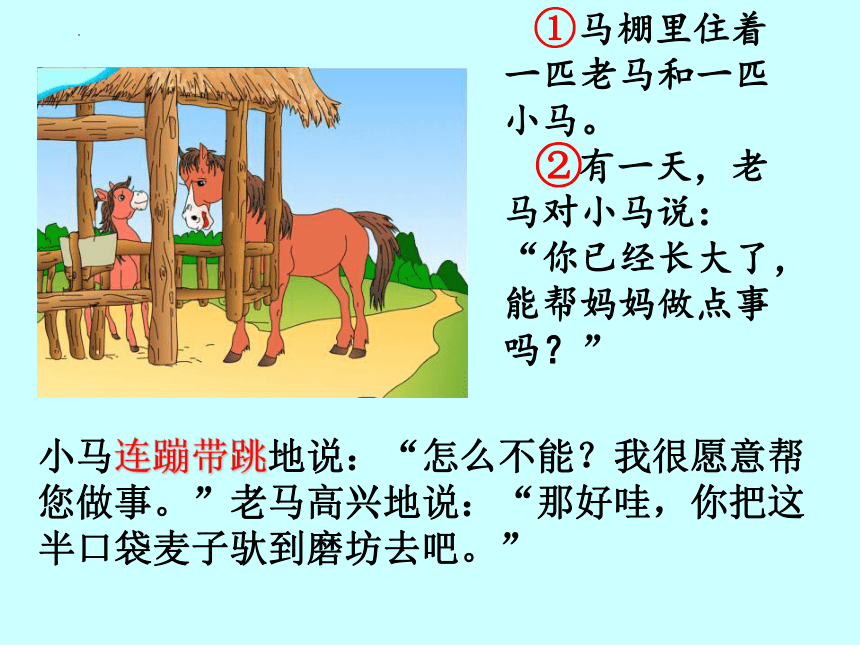 14《小马过河》 课件（共24张PPT）