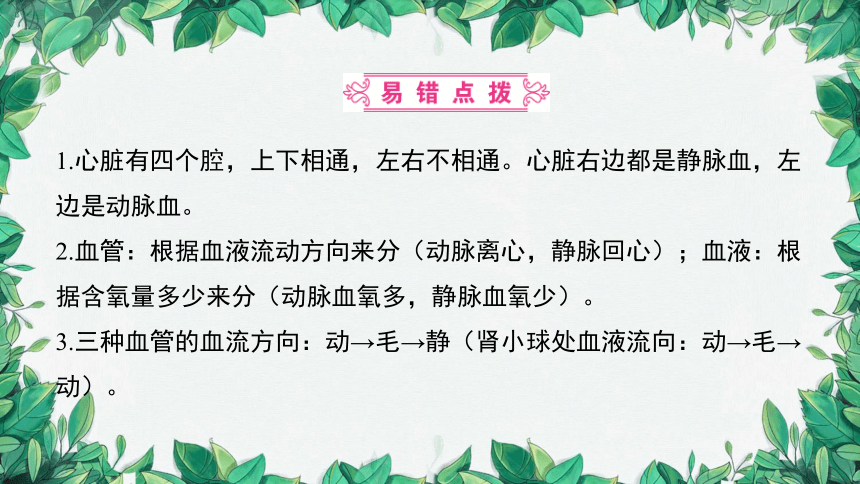 2023年中考生物复习 课题二 人体内物质的运输课件(共36张PPT)