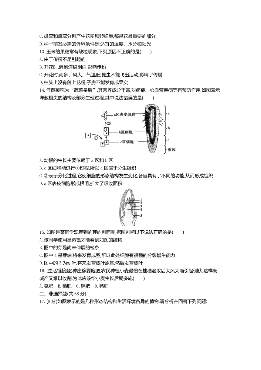 人教版七年级生物上册第三单元生物圈中的绿色植物过关测试一(第一~二章)（word版含答案）