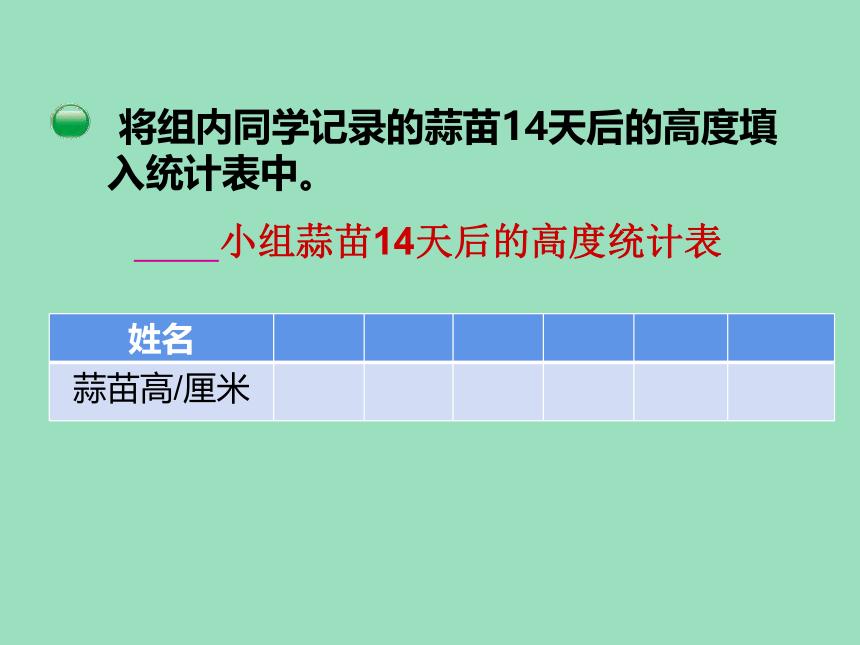 小学数学北师大版四年级下6  栽蒜苗（一）课件（18张ppt）