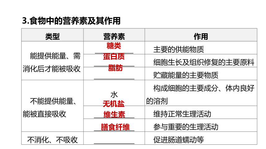 2022年浙江省中考科学一轮复习 第06课时　与人体代谢相关的系统-呼吸和消化（课件 43张PPT）