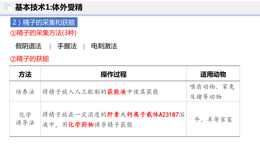 2.3 胚胎工程（第2课时）(共38张PPT)-2023-2024学年高二生物下学期（人教版2019选择性必修3）