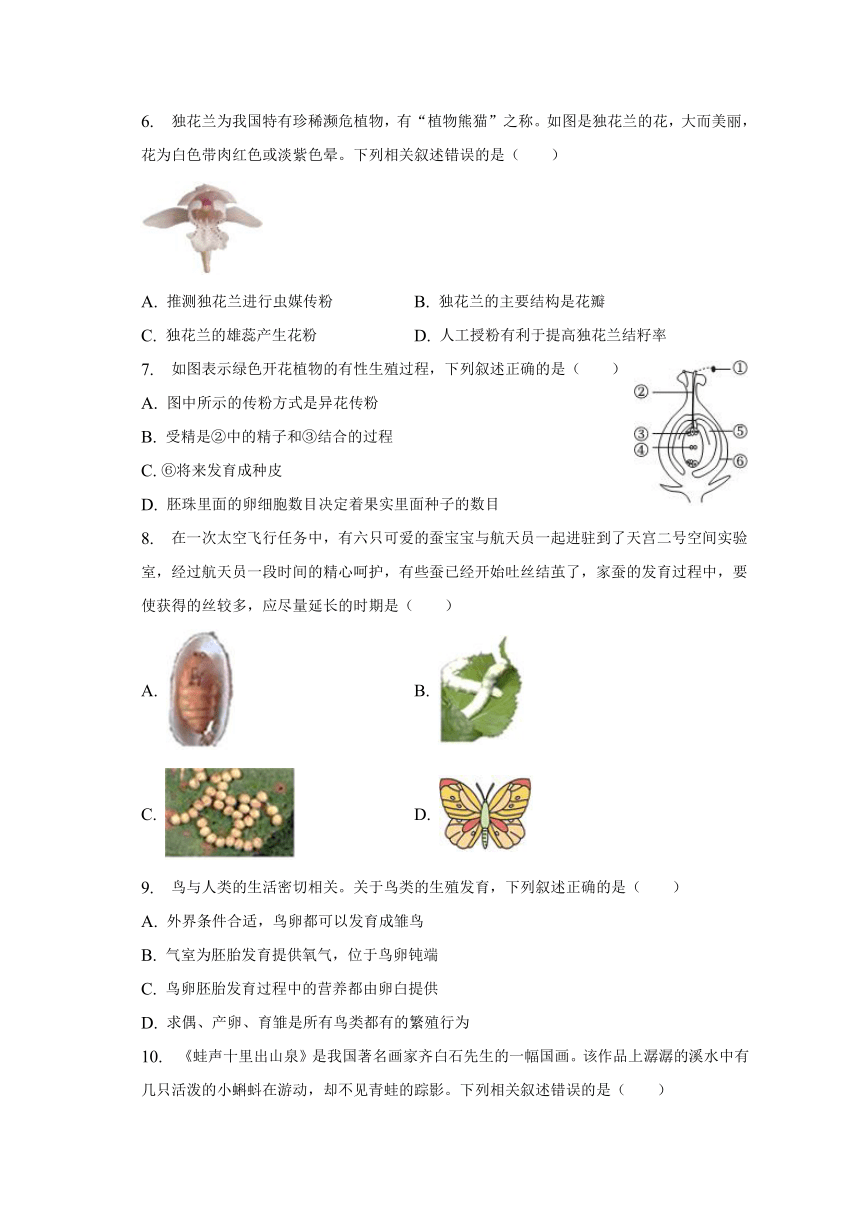 山西省朔州市右玉三中2022-2023学年下学期八年级期中生物试卷（含答案）