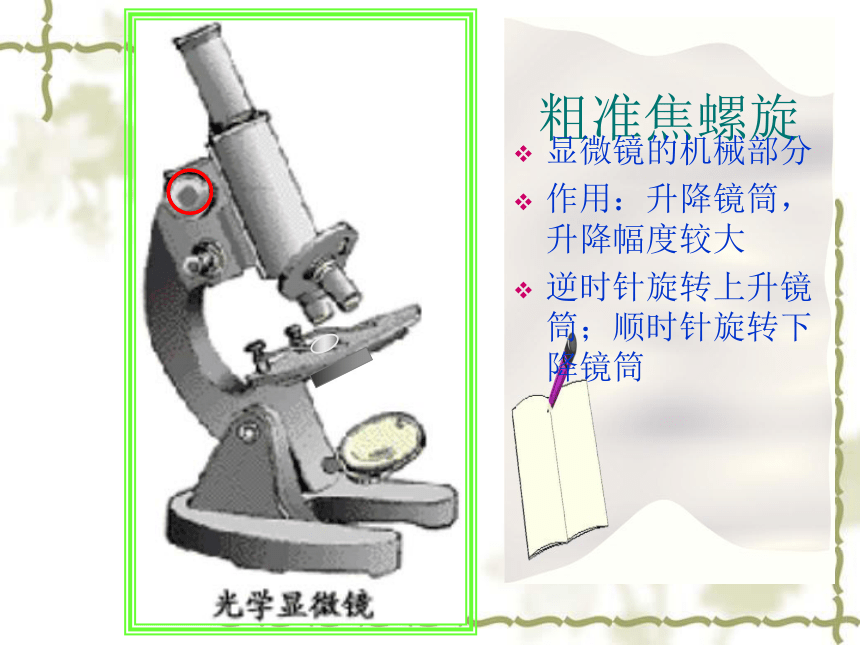 人教版七年级上册生物学2.1.1练习使用显微镜课件(共39张PPT)