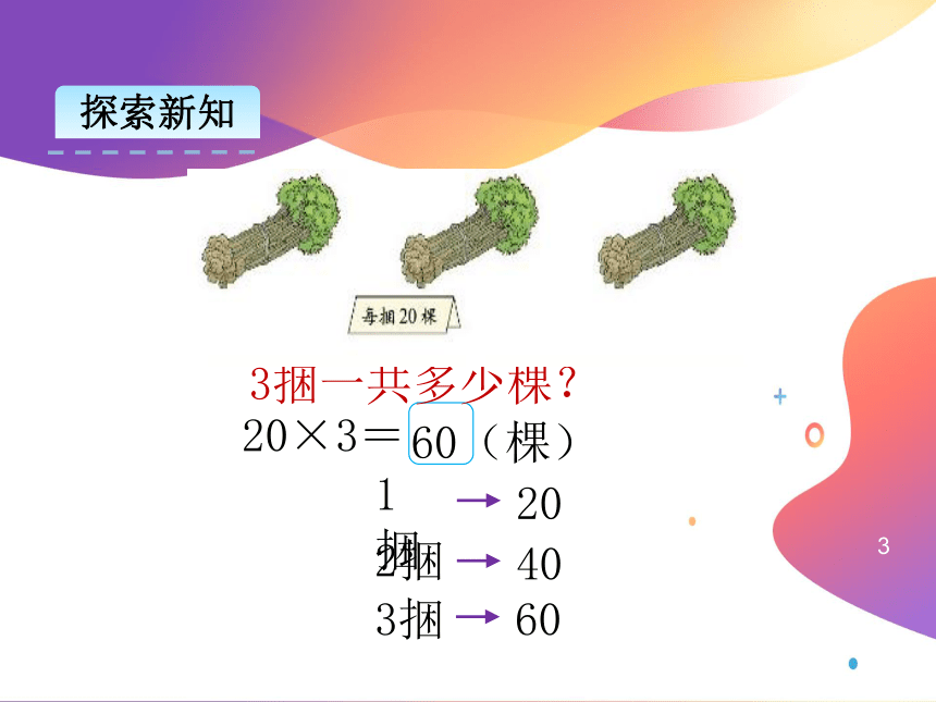 北师大版 数学三年级上册 4.1 小树有多少棵 课件（共15张PPT）