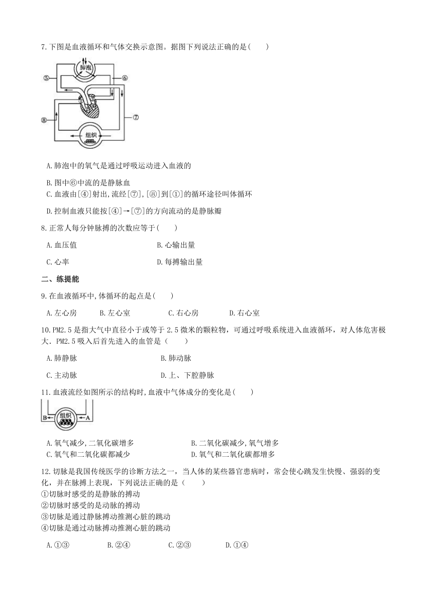 济南版生物七年级下册 3.3.3物质运输的途径 练习(word版 含答案)