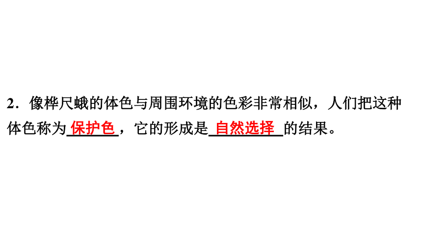 7.3.3 生物进化的原因 课件(共30张PPT)2023年春人教版八年级生物下册