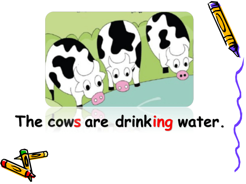 Module3 Unit2 The cows are drinking water. 课件(共32张PPT)