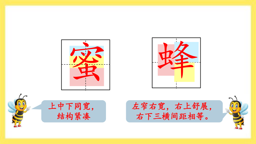 14 蜜蜂 课件(共35张PPT)