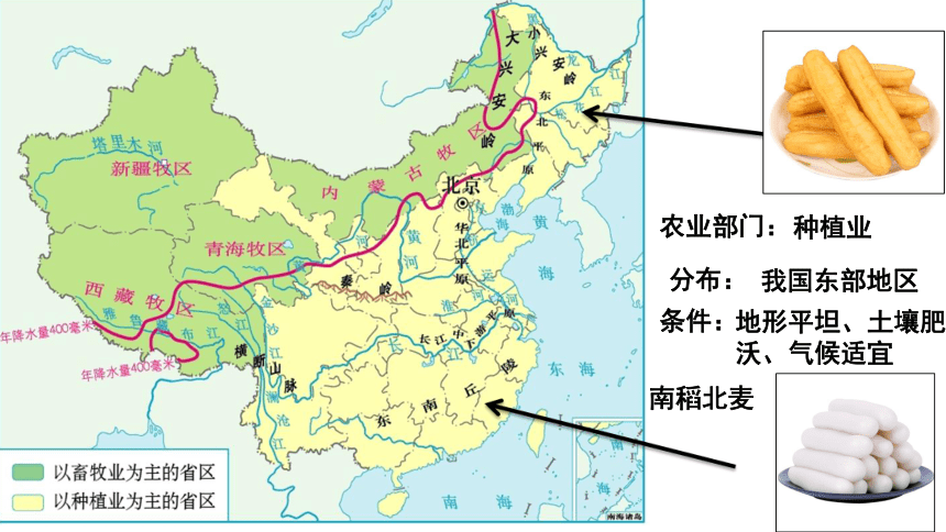 2024年中考地理复习  专题十三  中国的经济发展课件 (共31张PPT)