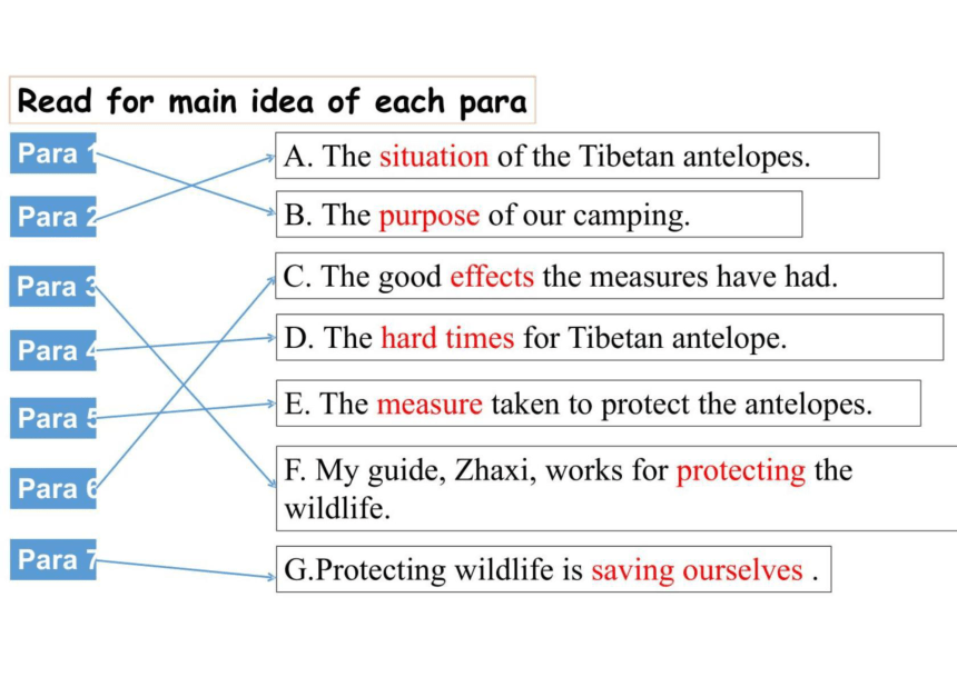 人教版（2019）必修 第二册Unit 2 Wildlife protection Reading and Thinking课件(图片版共61张PPT)