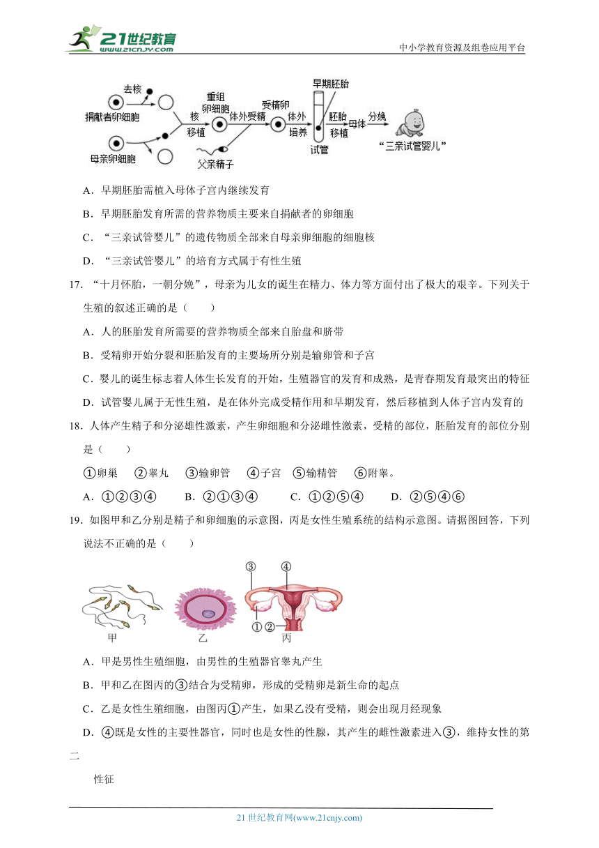 浙教版七下科学期中专题01 新生命的诞生与走向成熟（含答案）