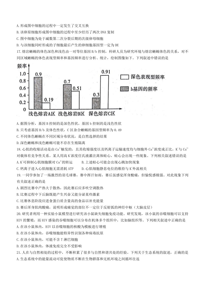 广西河池市2020-2021学年高二下学期期末教学质量检测生物试题 Word版含答案