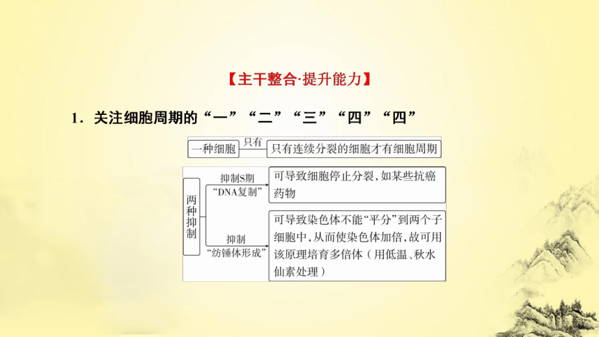 新人教生物二轮复习课件5 细胞的生命历程(课件共73张PPT)