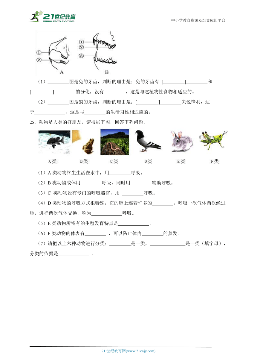 鲁科版生物八年级上册期末测试题（一）（含解析）