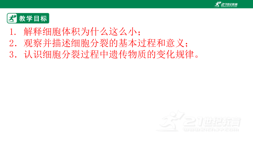 北师大版2.3.3 细胞通过分裂而增殖-2022-2023学年七年级生物上册同步课件（共29张ppt）