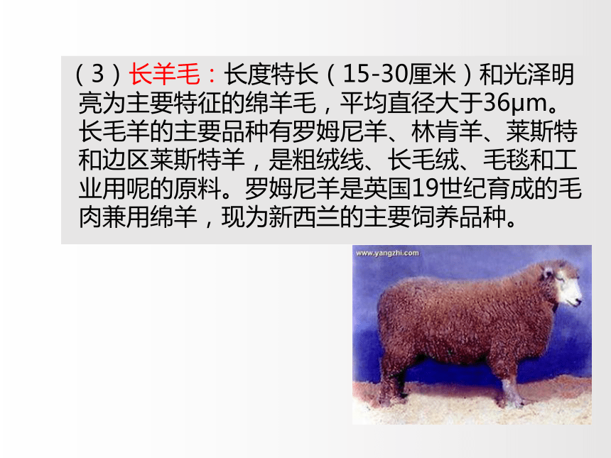 2.2毛和丝 课件(共61张PPT)-《服装材料》同步教学（中国纺织出版社）