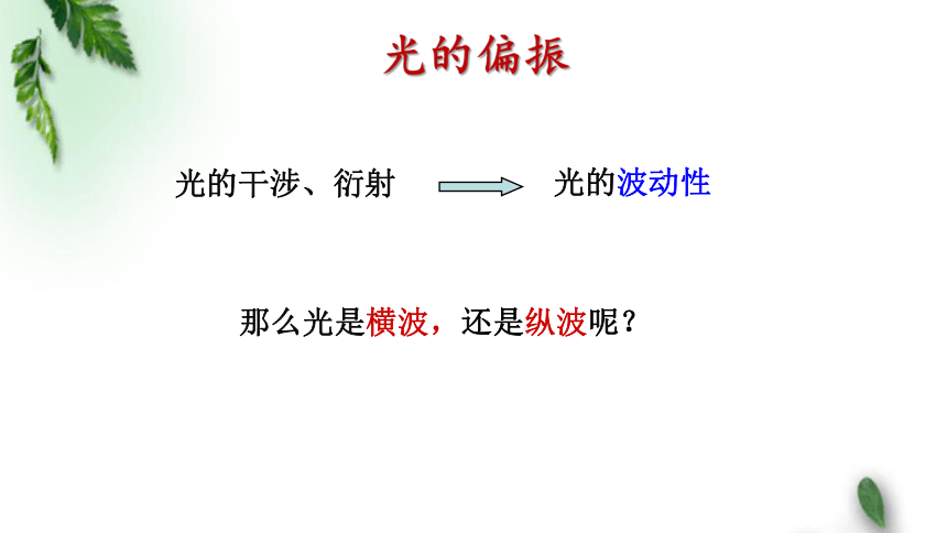 鲁科版(2019)新教材高中物理选择性必修1 第5章 光的干涉衍射和偏振第4节光的偏振课件(共13张PPT)