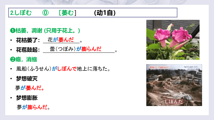 第14課 ひと 朝だけの朝顔 单词课件（29张）