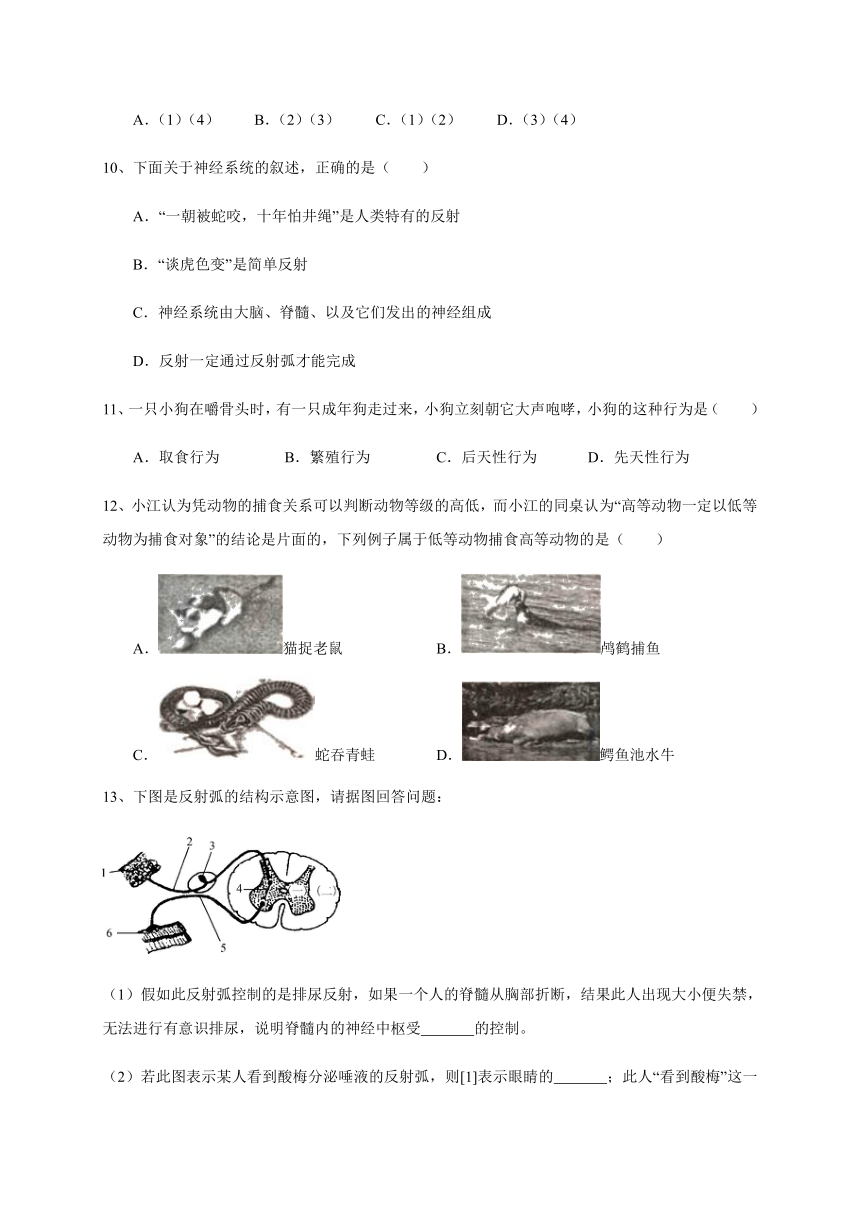 7.2 人体生命活动的神经调节 同步练习（含答案）