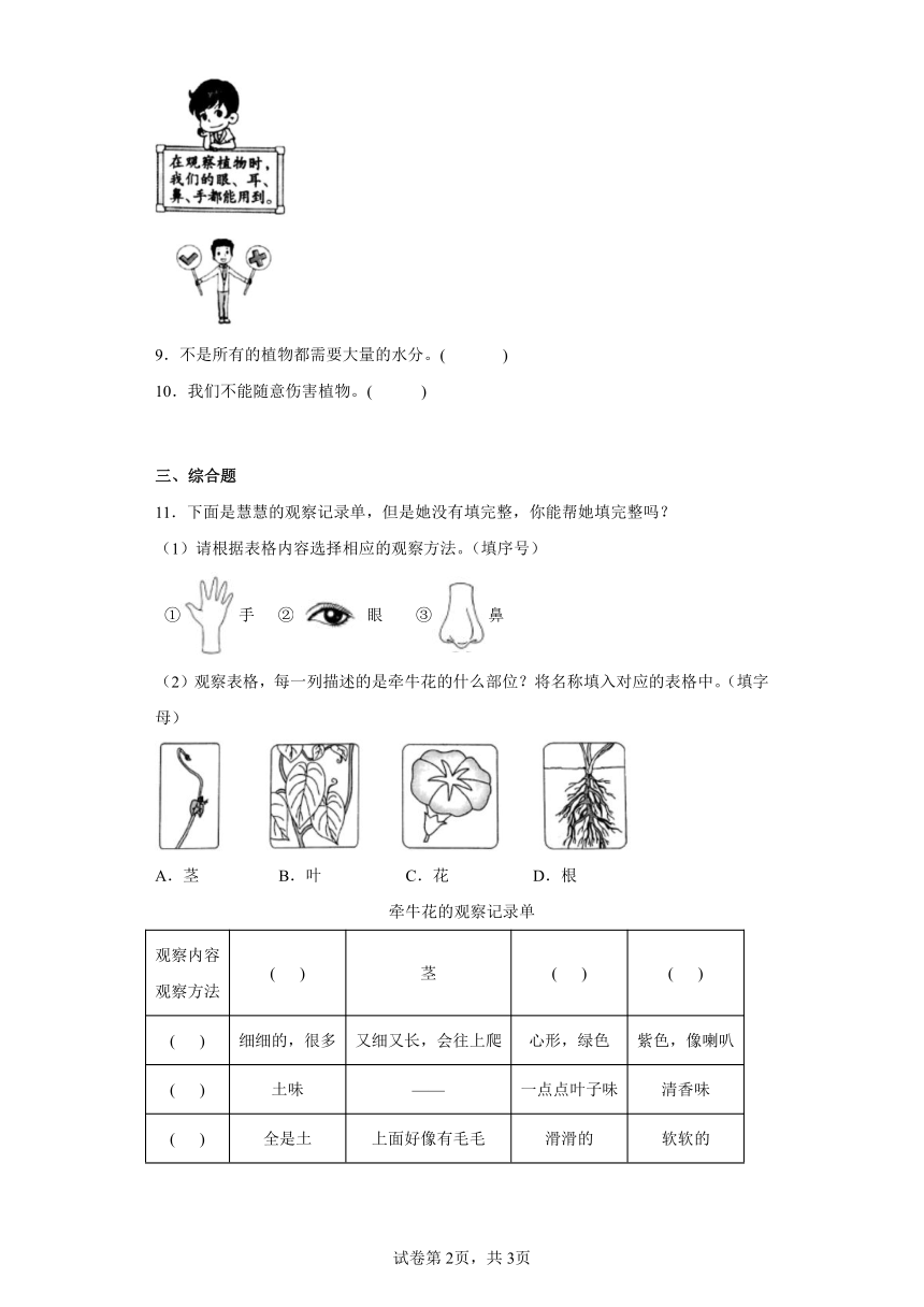 教科版（2017秋） 一年级上册1.6校园里的植物 同步练习（含答案)