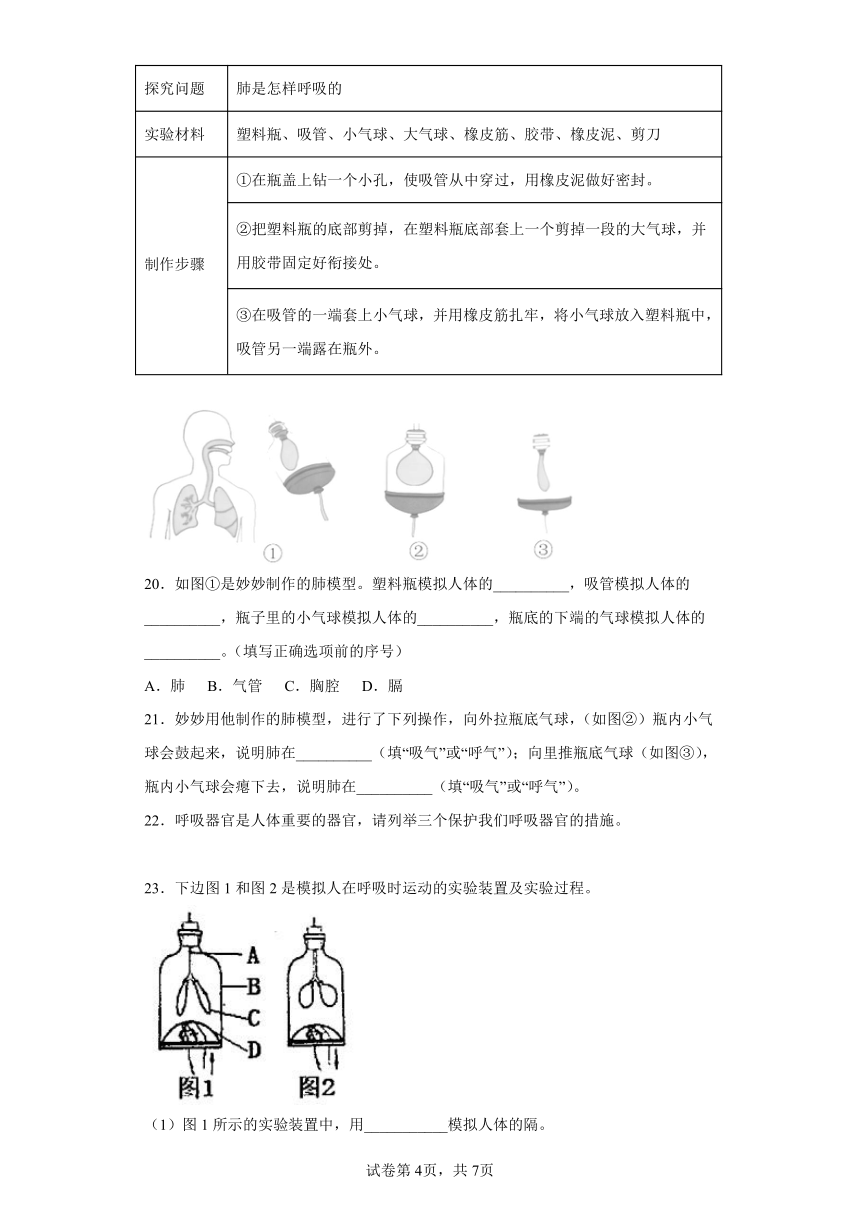 2022-2023学年大象版（2017秋）四年级上科学综合练习（二）（含答案）