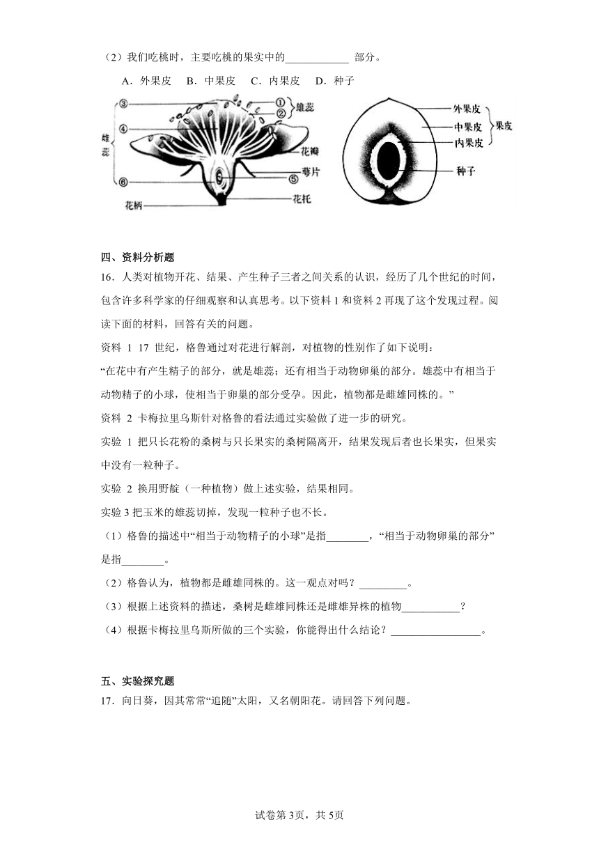 4.1.1花的结构和类型 同步练习（含答案） 济南版生物八年级上册