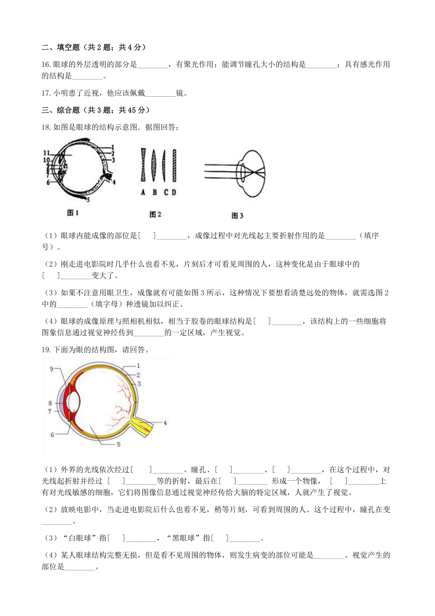 济南版生物七年级下册 3.5.4人体对周围世界的感知 练习（word版含解析）