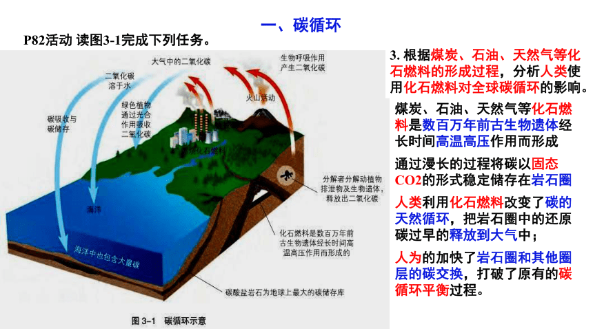 3.1 碳排放与国际减排合作 课件（22张PPT）