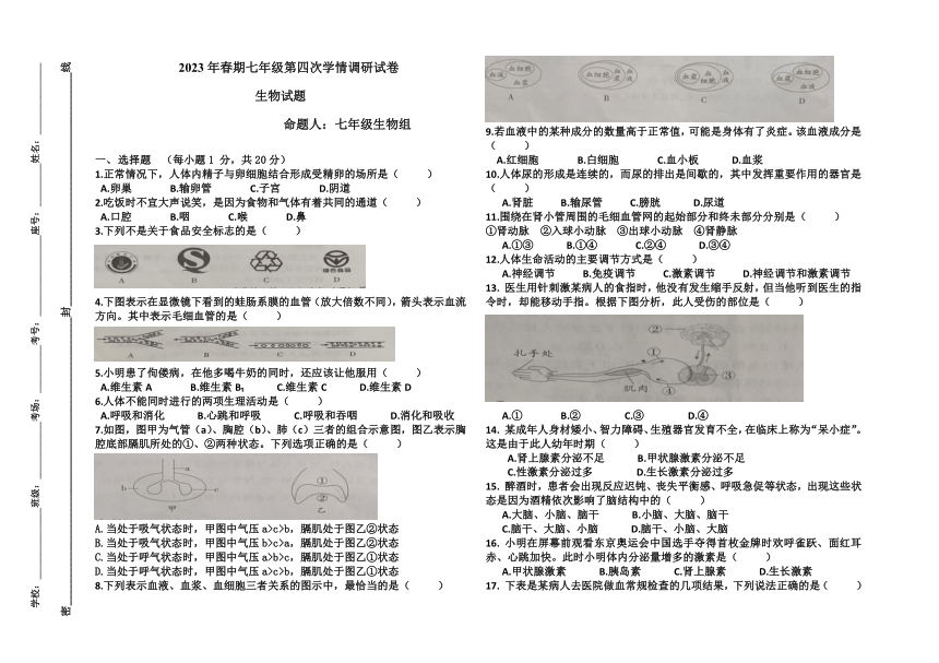 河南省南阳市桐柏县2022-2023学年七年级下学期6月月考生物试题（无答案）