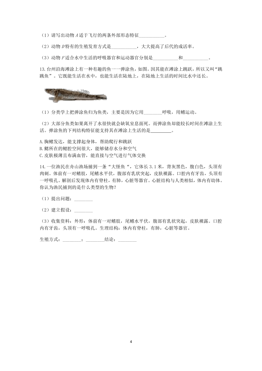 浙教版科学2022-2023学年上学期七年级“一课一练”：2.4常见的动物（1）【word，含解析】