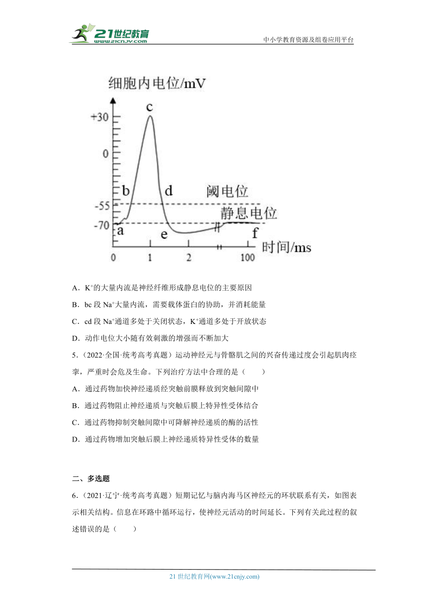 五年2018-2022高考生物真题按知识点分类汇编57-膜电位的变化及相关曲线、兴奋的传导和传递实验、药物对兴奋传导和传递的影响（含解析）