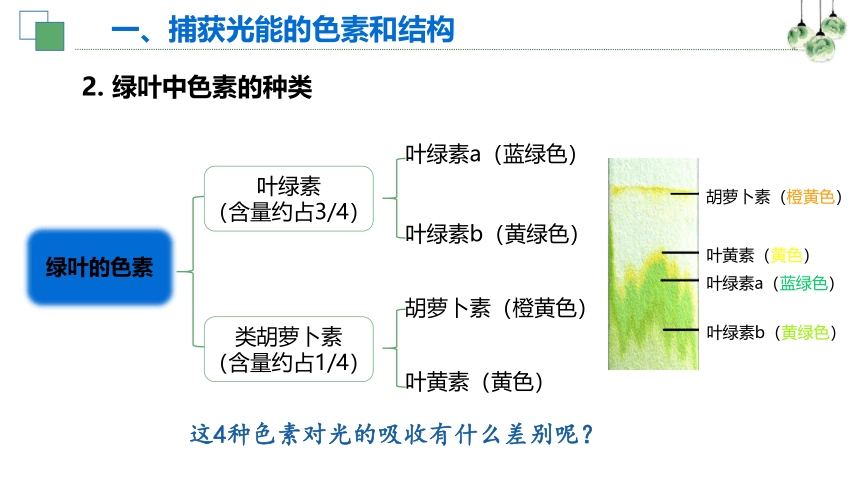 生物人教版（2019）必修1 5.4光合作用与能量转化（共61张ppt）