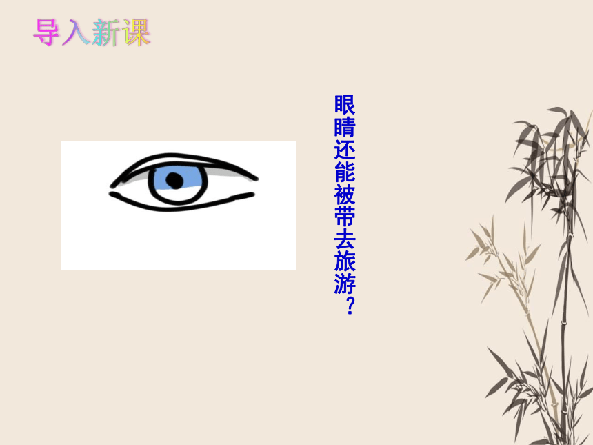 24 带上她的眼睛 课件（共43张PPT）