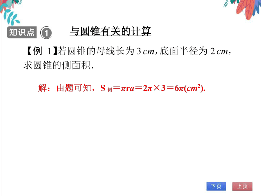 【人教版】数学九年级全一册 24.4.3 弧长和扇形面积(3)——圆锥的侧面积和全面积 随堂练习（课件版）