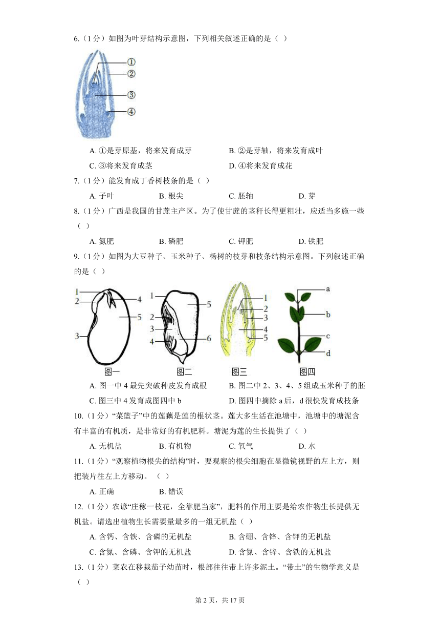 3.2.2  植株的生长 同步精品练习（含解析） 人教版生物七年级上册