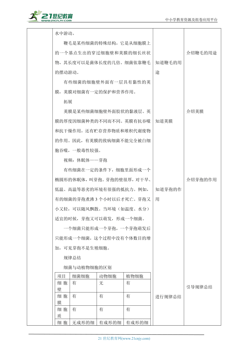 【核心素养目标】冀少版八年生物上册5.1.1细菌 第1课时 教案