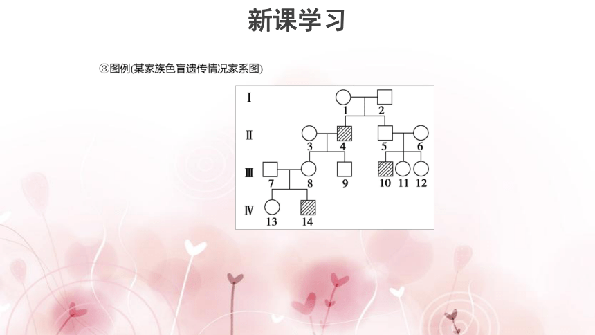 6.1《人类遗传病的主要类型》课件（26张）