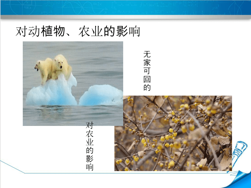 12.5全球变暖与水资源危机 课件 沪科版九年级物理全一册（共26张PPT）