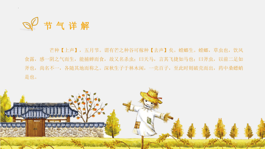 中国传统节气芒种介绍课件2021-2022学年高中主题班会（27张PPT）