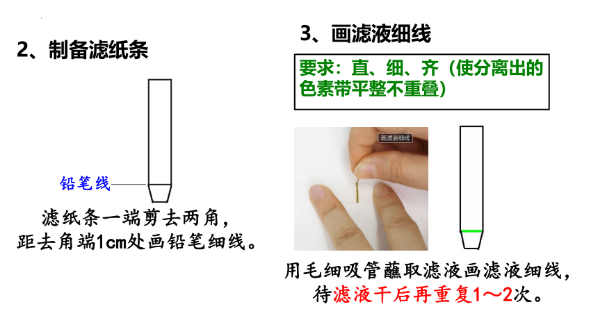 5.4光合作用与能量转化课件(共35张PPT有1份视频)2022—2023学年高一上学期生物人教版必修1