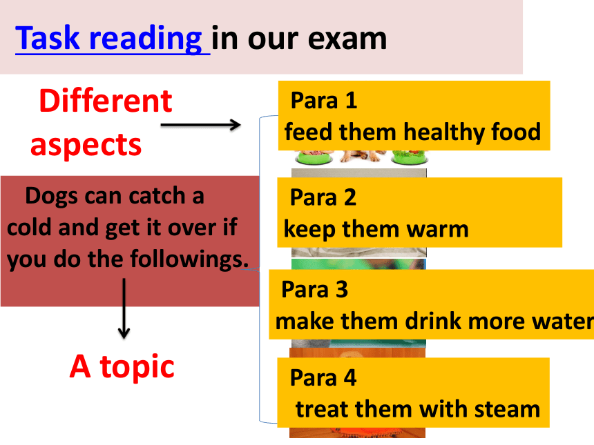高考英语Summary writing 概要写作课件（18张PPT）
