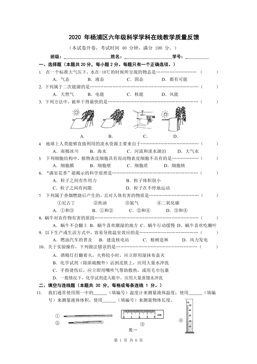 上海市杨浦区2020年六年级下册科学学科在线教学质量反馈（Word版 无答案）