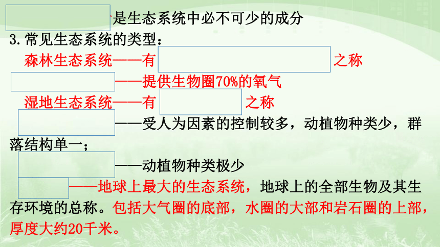 专题10生物与环境课件(共20张PPT)