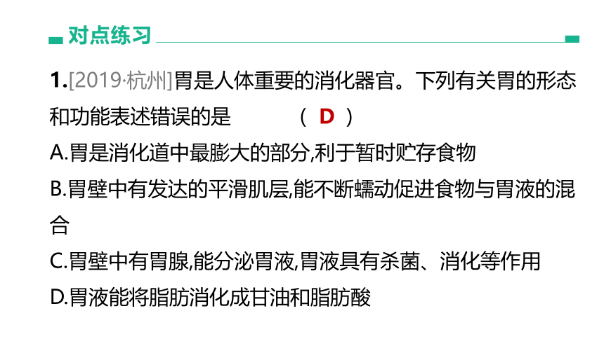 2022年浙江省中考科学一轮复习 第06课时　与人体代谢相关的系统-呼吸和消化（课件 43张PPT）